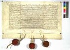 Albrecht [Achilles], Markgraf zu Brandenburg und Burggraf zu Nürnberg, bekundet: Zur Bereinigung der Streitigkeiten um die Zuständigkeit des Landgerichts Nürnberg zwischen dem Aussteller und den Reichsstädten Augsburg, Ulm, Nördlingen, Schwäbisch Hall, Schwäbisch Gmünd, Memmingen, Donauwörth, Giengen, Aalen und Bopfingen hatte Kaiser Friedrich [III.] durch [inseriertes] Mandat [1456 Dez. 7] dem Reichserbmarschall Heinrich zu Pappenheim und Ritter Walter von Hürnheim Auftrag gegeben, den Streit gütlich beizulegen. Auf einem nach dem Tode des Walter von Hürnheim durch den Marschall einberufenen Tag haben sich die Parteien auf folgende Punkte geeinigt: Werden die Städte einzeln oder gesamt vor das Landgericht geladen, soll der Landrichter die Klage an die Stellen verweisen, auf die eine jede gefreit ist. Werden Bürger der Städte vor das Landgericht gefordert, soll die Klage an das Stadtgericht des Beklagten gewiesen werden mit der Auflage, den Klägern freies Geleit zu geben und die Klage binnen sechs Wochen und drei Tagen zu verhandeln. Sonst hat der Kläger das Recht, die Beklagten wieder vor das Landgericht zu fordern. Zur Zeit durch das Landgericht in Acht oder Aberacht gesprochene Städte oder Bürger dieser Städte werden davon entbunden. Das Recht über sie soll dem Kaiser zustehen. Kaiser Friedrich [III.] hat dem Aussteller durch [inserierten] Gunstbrief [1456 Dez. 7] gestattet, sich rechtsverbindlich mit den Reichsstädten zu einigen. Der Aussteller verspricht, das Einverständnis seiner Brüder Friedrichs d.Ä. [II.] und Friedrichs d.J. [(III.)] herbeizuführen. Bruder Markgraf Johann [der Alchemist] bekundet seine Einwilligung.