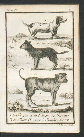 Tafel: 1 le Dogue 2 le Chien de Berger 3 le Chien Basset à [...]