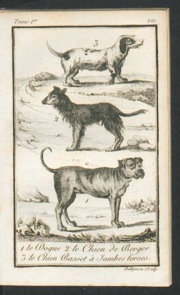 Tafel: 1 le Dogue 2 le Chien de Berger 3 le Chien Basset à [...]