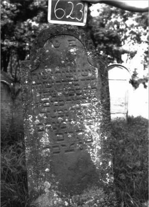 Grabstein 623 (Index: 100105002) Material: Sandstein Zustand: leicht verwittert, bewachsen Maße HxBxT: 142x54x10 cm Beschreibung: Stele, eingezogener Rundbogenabschluss, Schriftfeld eingetieft mit Konvexbogenabschluss: Grabstein 623