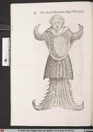Monstrum Marinum effigie Monachi (Meermönch).