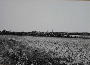 Fotografie, Schwiebus (Świebodzin)