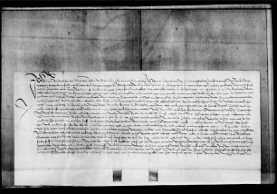 Hans Birstenbinder von Stuttgart, um strafbare Sachen in das Gefängnis gelegt, schwört bei seiner Entlassung Urfehde.