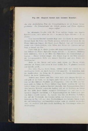 Fig. 119. Gegend hinter dem inneren Knöchel.