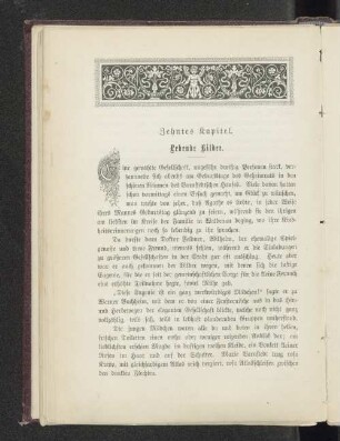 Zehntes Kapitel. Lebende Bilder.