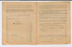 Entnazifizierung Johannes Bunse , geb. 12.08.1895 (Polizeihauptwachtmeister)
