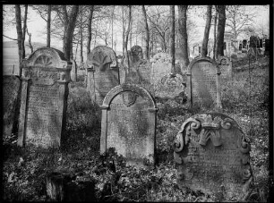 Bödigheim Jüdischer Friedhof Grabstein