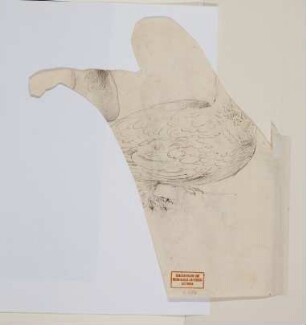 Vogel