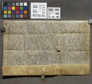 Gießen: Kaufbrief