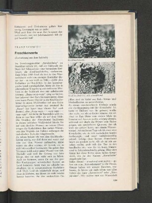 Froschkonzerte (Fortsetzung aus dem Juliheft).