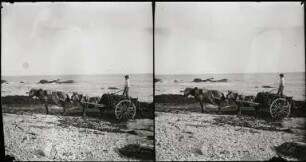 Les Sables-d'Olonne. Algensammler am Strand