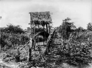 Pfahlbau (Deutsch-Ostafrikaexpedition 1906-1907)
