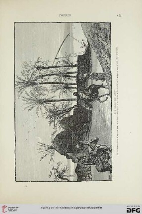 Edfû and Philae