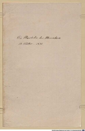 Nachlass von Anton Hallmann (1812 - 1845) - BSB Ana 355, A.I.b. Anatomische Studien. Die Muskeln des Menschen - BSB Ana 355.A.I.b