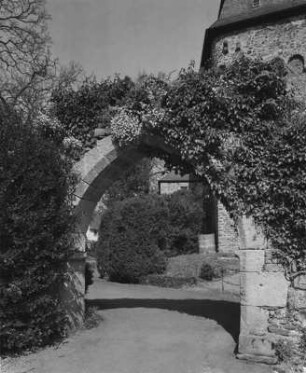 Schlosspark Eisenbach; Lauterbach, Schloß, Vulkan-Radweg, Vor dem Schloß, Tiefe Äcker, Schloß 3, Schloß 2, Schloß 1, Röhrwiesen, Oberhof 6, Lustgarten, Kleiner Eisenbach, Kießäcker, Karlswiese, Hofwiese, Hinter dem Oberhof, Großer Weiher, Frischbörner Weg, Eisenbach, Annenkapelle, An der Rennbahn, An den Rosenwiesen, Am Unterhof 9, Am Unterhof