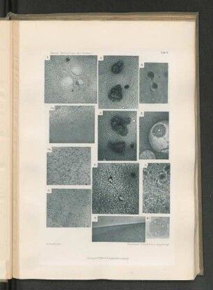 7a.