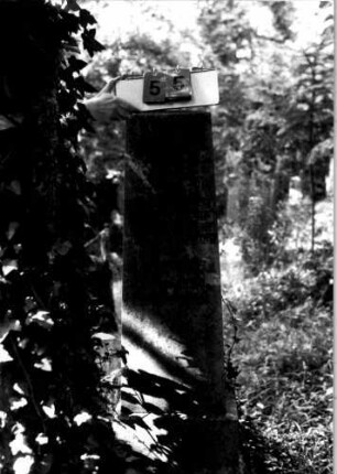 Grabstein 55 (Index: 100109292) Material: Sandstein oder Marmor (?) Zustand: leicht verwittert Maße HxBxT: 163x42x41 cm Beschreibung: Obelisk, getreppter Sockel Steinmetz: Beerli, Mammern: Grabstein 55