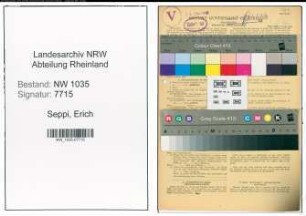 Entnazifizierung Erich Seppi , geb. 01.11.1908 (Handlungsgehilfe)