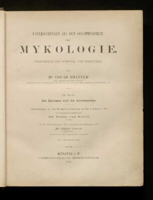 9: Die Hemiasci und die Ascomyceten