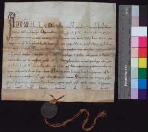 Alexander IV. bestätigt dem Franziskaner-Orden die von seinen Vorgängern Gregor IX. und Innocenz IV. verliehenen Privilegien, Indulgenzen usw.