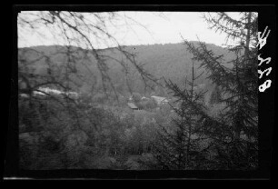 Bewaldetes Tal mit Häusern