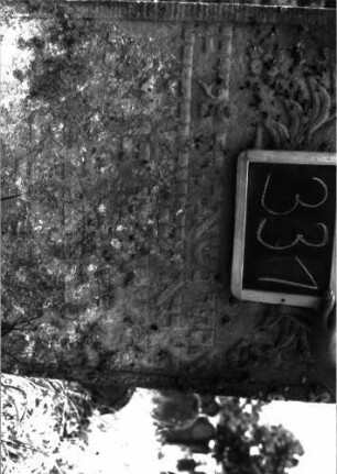 Grabstein 331 (Index: 100103082) Material: Sandstein Zustand: stark verwittert, weitgehender Textverlust Maße HxBxT: 129x68x12 cm Beschreibung: Stele, Konvexbogenabschluss mit Verdachung, unter der Verdachung Einzüge, plastische Palmzweige und Blüten, Schriftfeld eingetieft , Schrift erhaben Symbolik: Palmwedel, Blüten: Grabstein 331 (Detailaufnahme 1)