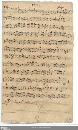 1ste. Violine.