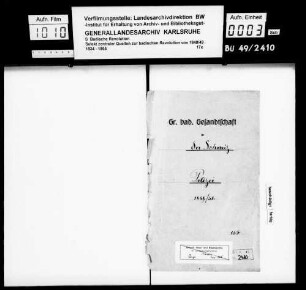 Drei gedruckte und zwei handschriftliche Verzeichnisse in Rastatt gefangen genommener Aufständischer