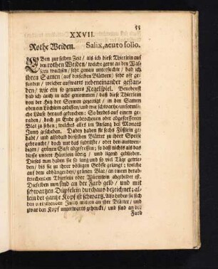 XXVII. Rothe Weiden. Salix, acuto folio.