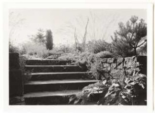 Garten von Bauer, Rhode: Treppen im Garten