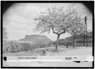 Lilienstein