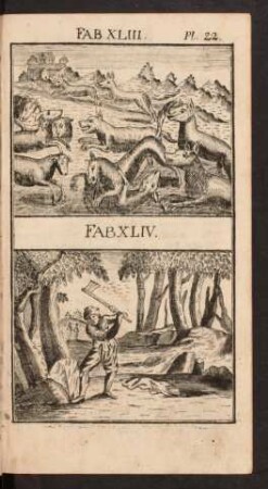 Pl. 22. Fab. XLIII. Fab. XLIV.