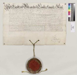 Kaiser Leopold [I.] belehnt Coelestin [I. Vogl], Abt von St. Emmeram, mit allen Regalien und Lehen, die das Reichsstift bisher innegehabt hat. S=A