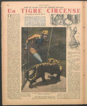 Un tigre circense : Cómo he cazado vivos los animales salvajes