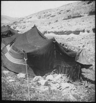 Beduinenzelt im w. [wadi] el-rar