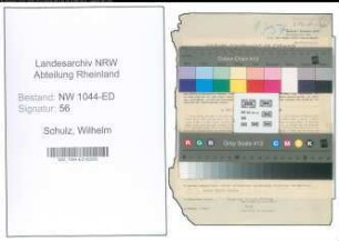 Entnazifizierung Wilhelm Schulz , geb. 27.01.1893 (Studienrat)