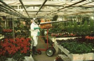 Fotografie: Pflanzenschutz, Gartenbautechnik-Gewächshaus