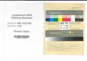 Entnazifizierung Adam Busche , geb. 08.07.1905 (Lehrer)