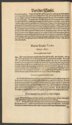 Von mancherley gschlächt diser vöglen.
