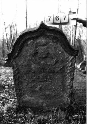 Grabstein 767 (Index: 99751576) Material: Sandstein Zustand: abgeblätt/verwitt/fast völl. Textverlust Maße HxBxT: 149x86x10 cm Beschreibung: Stele, eingezogener Kielbogenabschluß Symbolik: Löwenpaar herschauend als Schildhalter, Krone, Voluten, Ranken: Grabstein 767