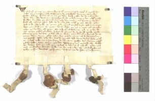 Erkinger von Saunsheim und Conrad von Saunsheim, Leubold Küchenmeister von Nordenberg bekennen, dass ihre Schwester Anna von Saunsheim 75 Pfund Geld in das Kloster gestiftet hat, die wieder zurückgegeben wurden; ausgestellt o.O., 1358 (Donnerstag nach Walpurgi); Pergament, Siegel: Erkinger und Conrad von Saunsheim, Leubold Küchenmeister von Nordenberg und Anna Saunsheim.