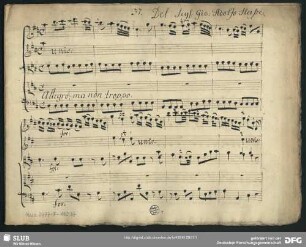 Arminio. Excerpts - Mus.2477-F-110,37 : S, strings, bc