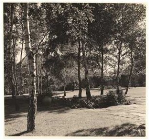 Garten Schmitt-Reichenberg: Blick auf Garten