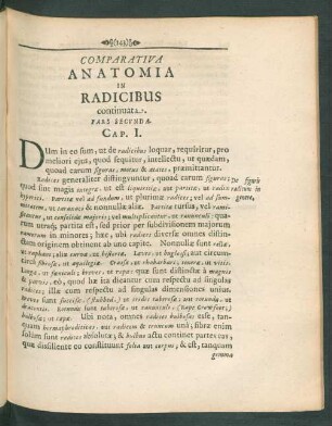 Comparativa Anatomia In Radicibus continuata. Pars Secunda.