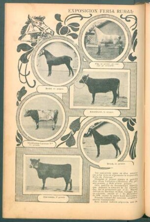 Exposición Feria Rural en Palermo