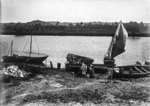 Boote am Ufer : Blick auf mehrere Boote am Ufer eine Gewässers