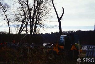 Berlin, Pfaueninsel, Umpflanzung Linde.