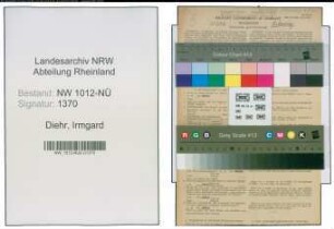 Entnazifizierung Irmgard Diehr , geb. 13.11.1912 (Kauffrau)