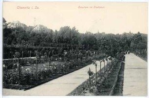 Chemnitz. Rosarium im Stadtpark