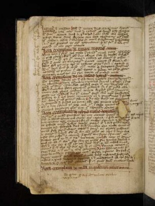 Nota legitur quod quidam homo fuit qui non curavit …